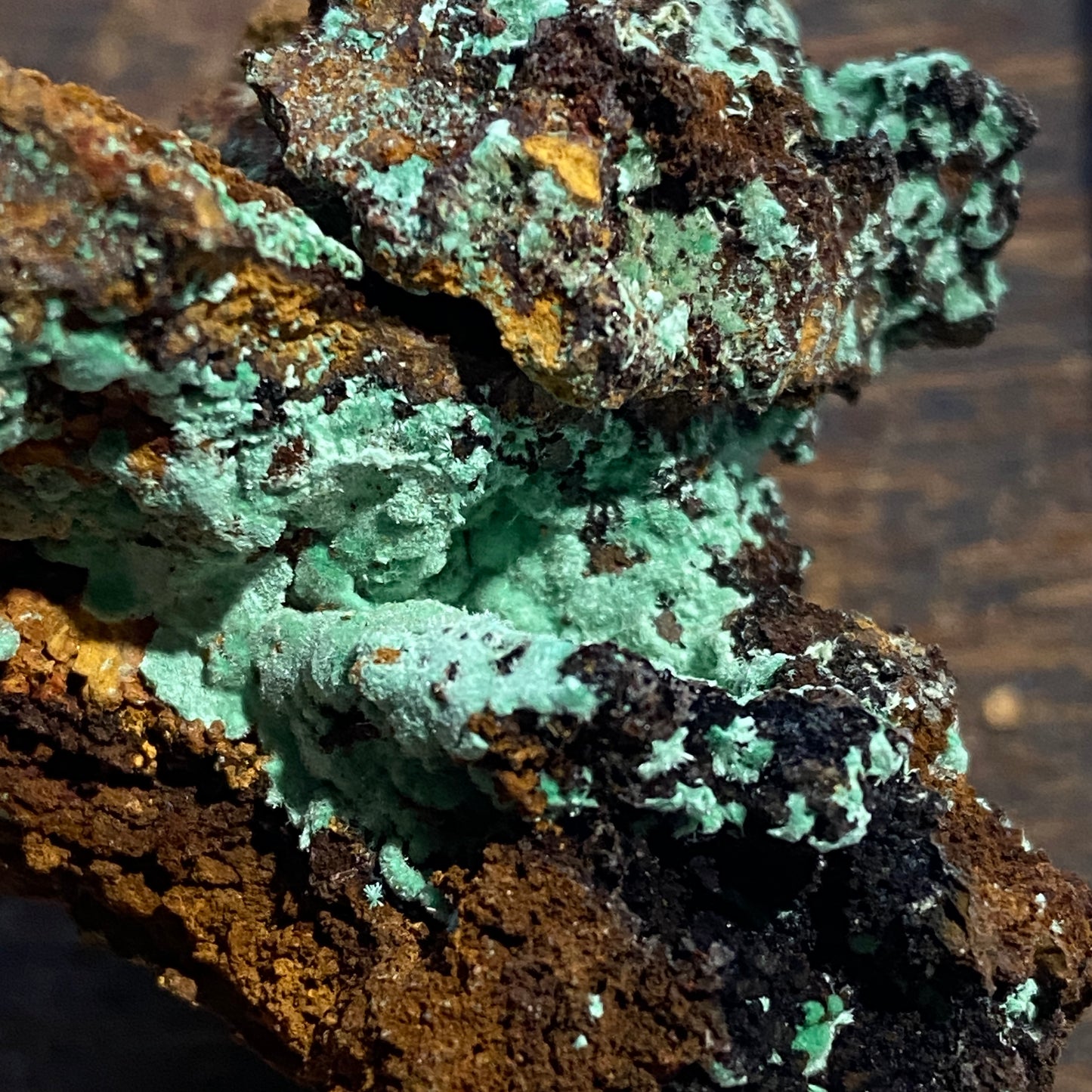 AURICHALCITE ON LIMONITE - OJUELA MINE, MAPIMI, DURANGO, MEXICO 45g MF786