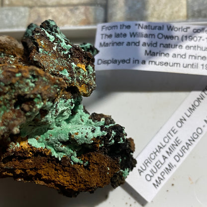 AURICHALCITE ON LIMONITE - OJUELA MINE, MAPIMI, DURANGO, MEXICO 45g MF786