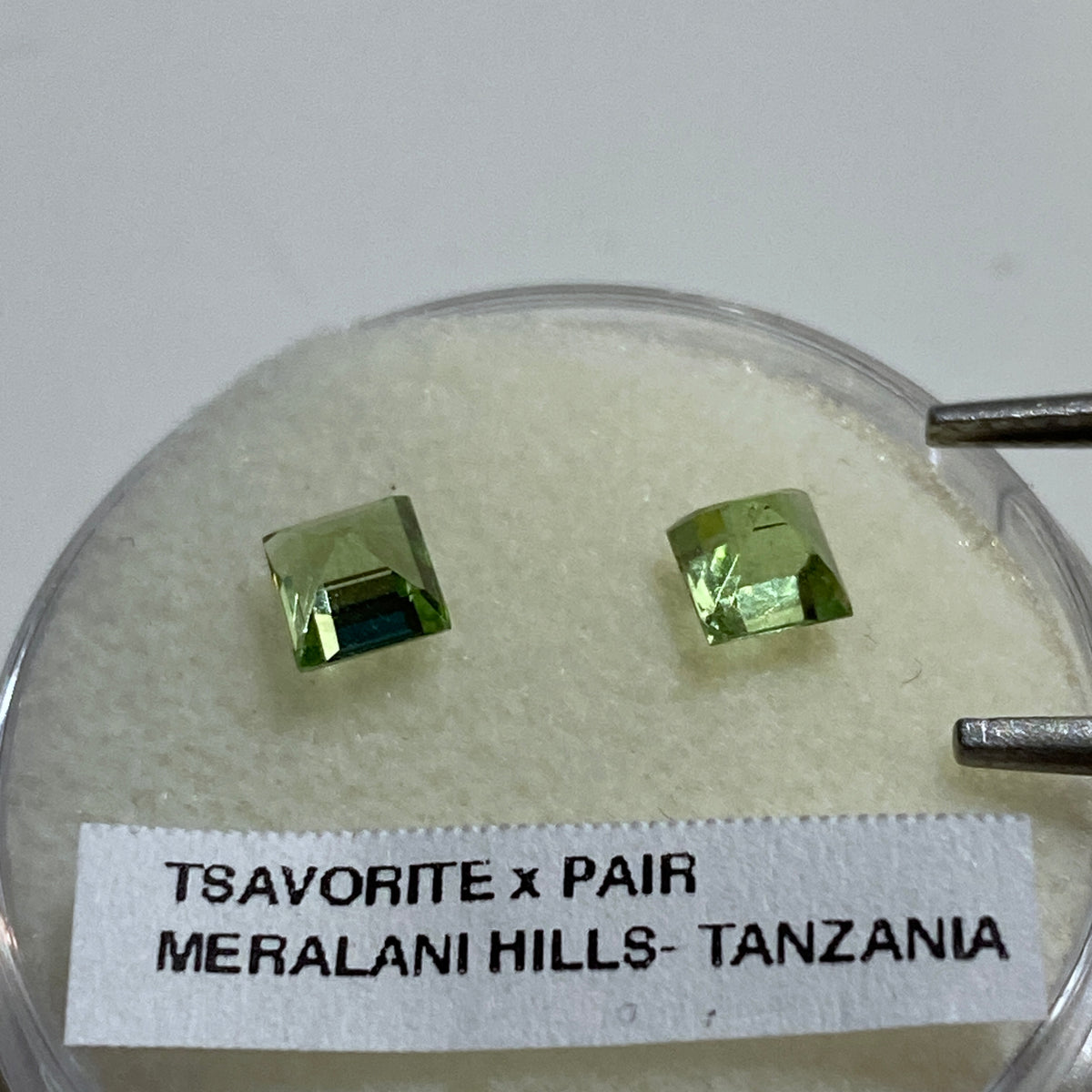 RARE TSAVORITE GARNET PAIR : MERELANI HILLS, MANYARA, TANZANIA 0.78Ct MFG6001