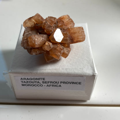 ARAGONITE - TAZOUTA, SEFROU, MOROCCO 30g. MF3407