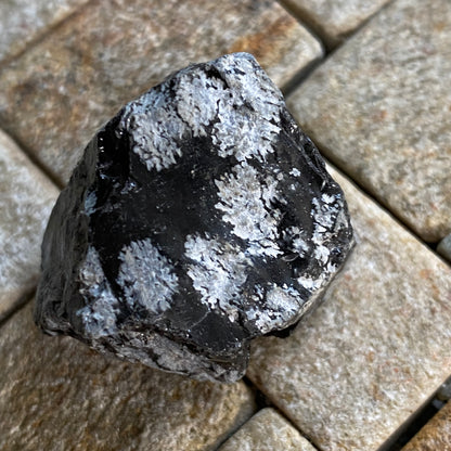 OBSIDIAN WITH CHRISTOBALITE [ SNOWFLAKE OBSIDIAN]  - ARIZONA, U.S.A. MF3661