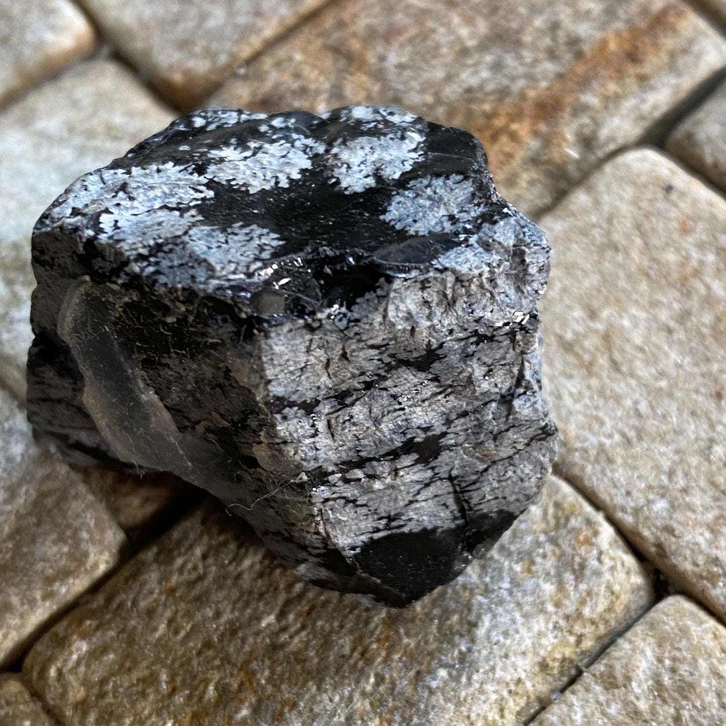 OBSIDIAN WITH CHRISTOBALITE [ SNOWFLAKE OBSIDIAN]  - ARIZONA, U.S.A. MF3661