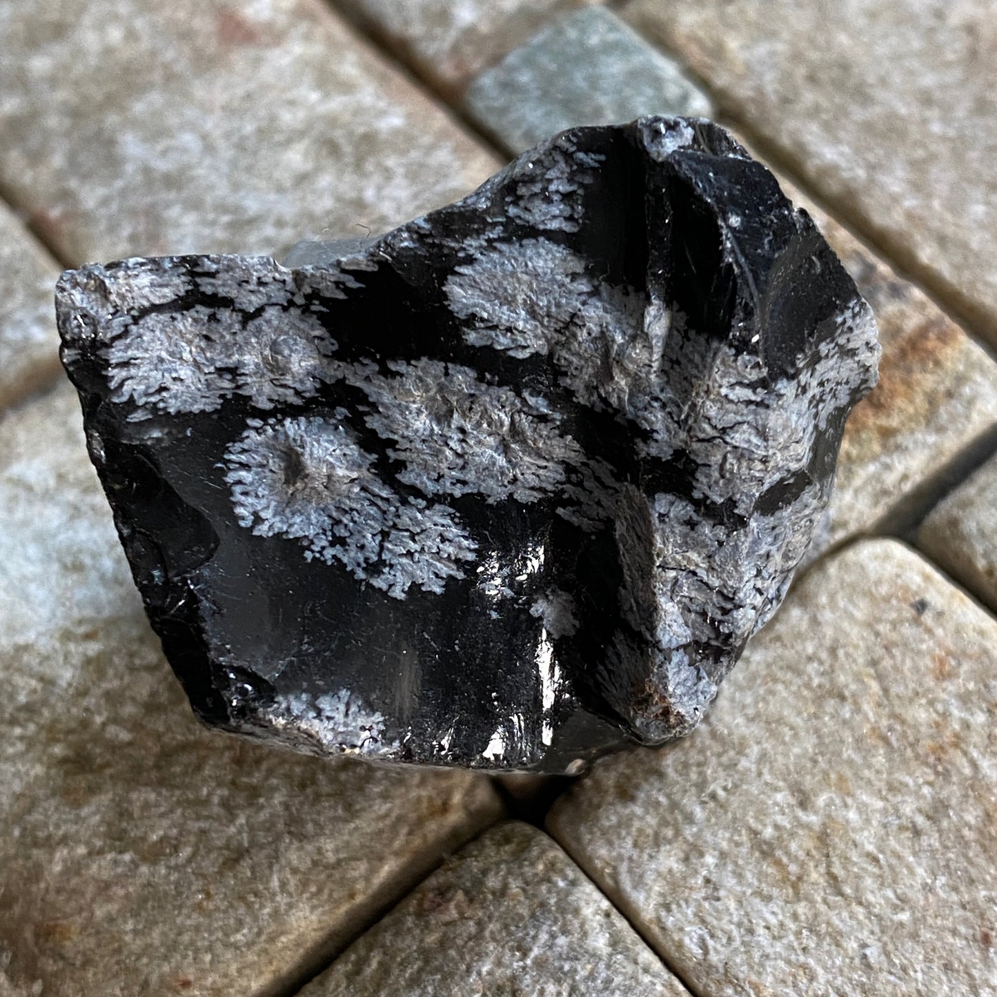 OBSIDIAN WITH CHRISTOBALITE [ SNOWFLAKE OBSIDIAN]  - ARIZONA, U.S.A. MF3661