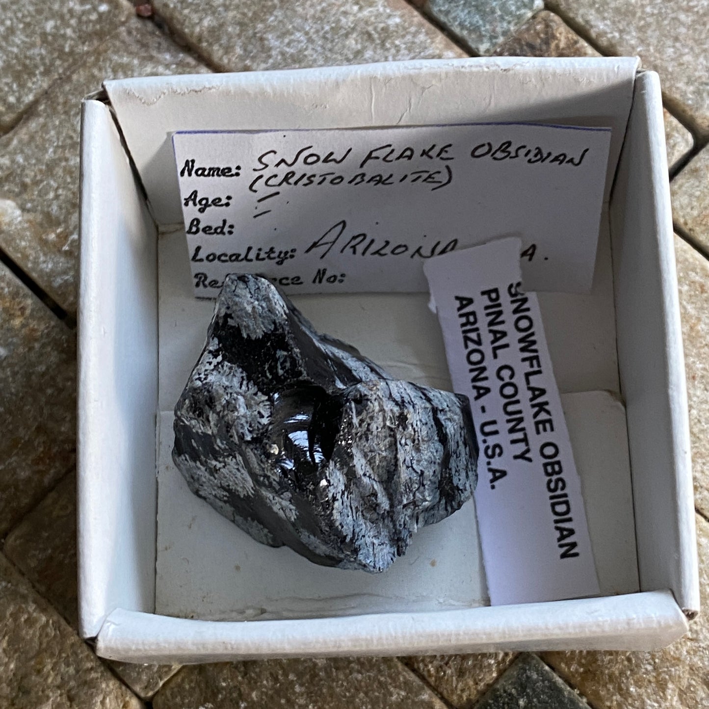 OBSIDIAN WITH CHRISTOBALITE [ SNOWFLAKE OBSIDIAN]  - ARIZONA, U.S.A. MF3661