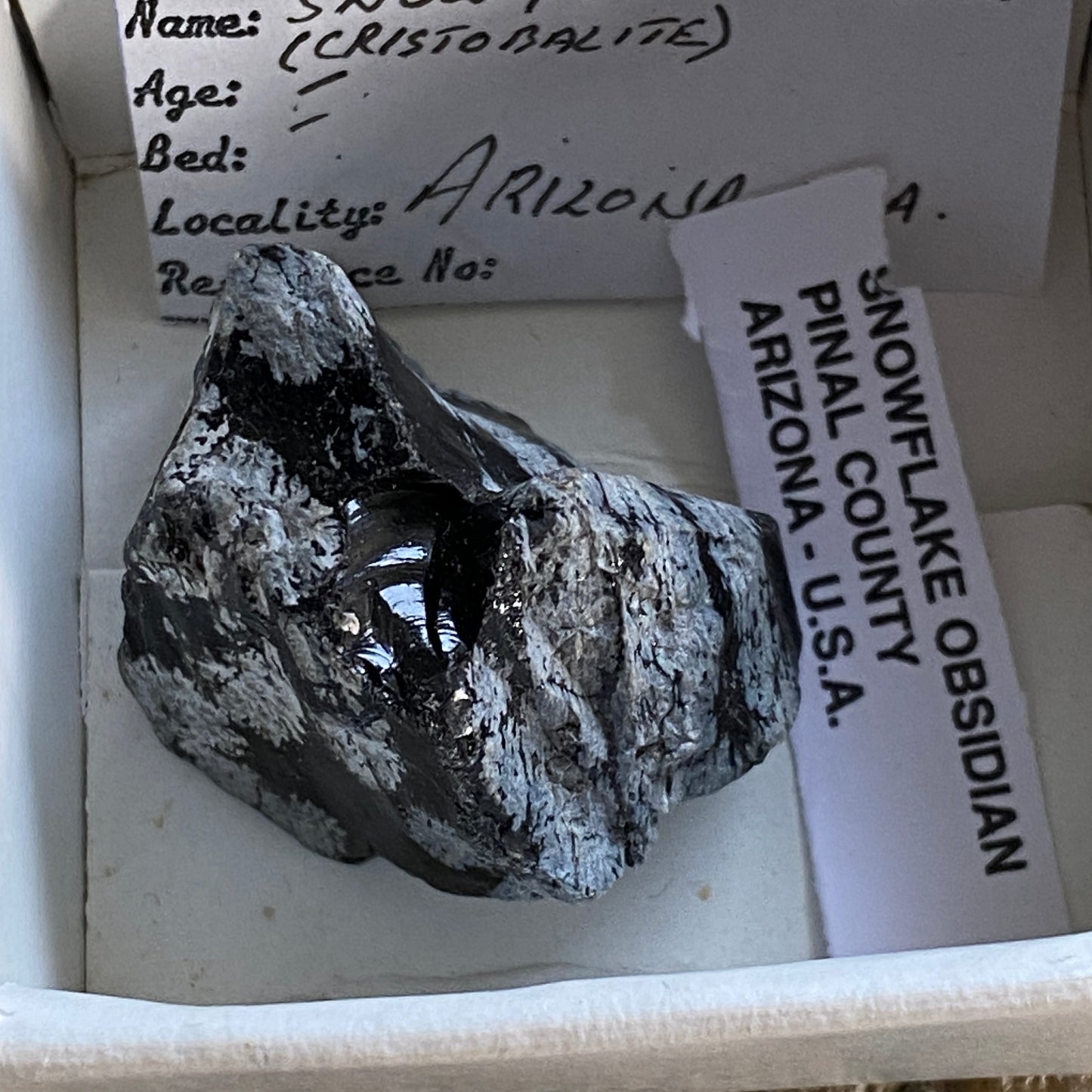 OBSIDIAN WITH CHRISTOBALITE [ SNOWFLAKE OBSIDIAN]  - ARIZONA, U.S.A. MF3661