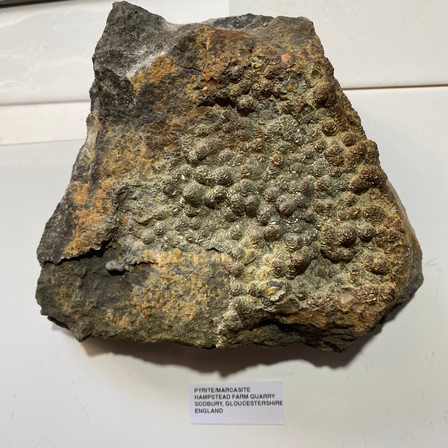 PYRITE [ETC] : HAMPSTEAD FARM QUARRY, SODBURY, GLOUCESTERSHIRE, ENGLAND 1409g MF4703