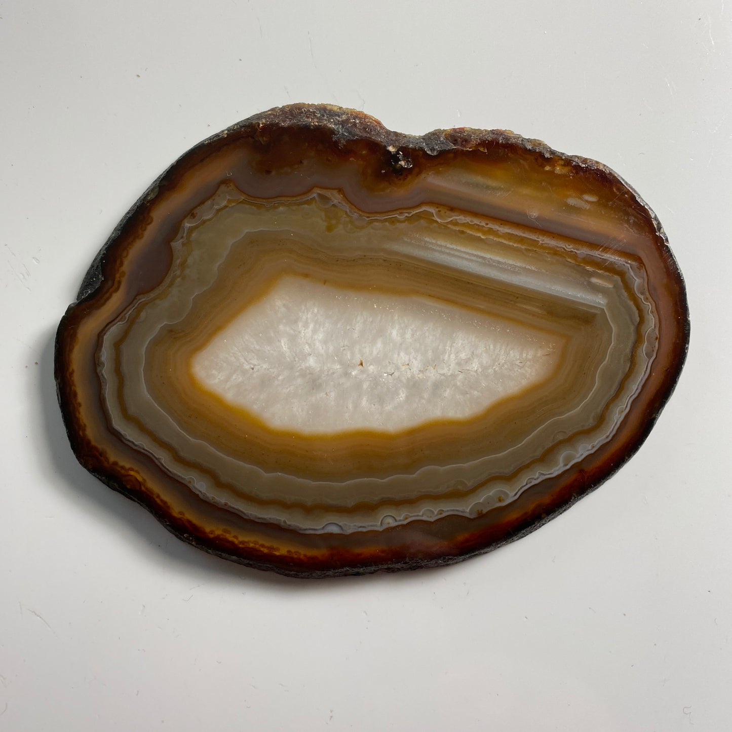 QUARTZ AGATE SLICES - CHIHUAHUA, MEXICO  - 160g TOTAL. MF3923