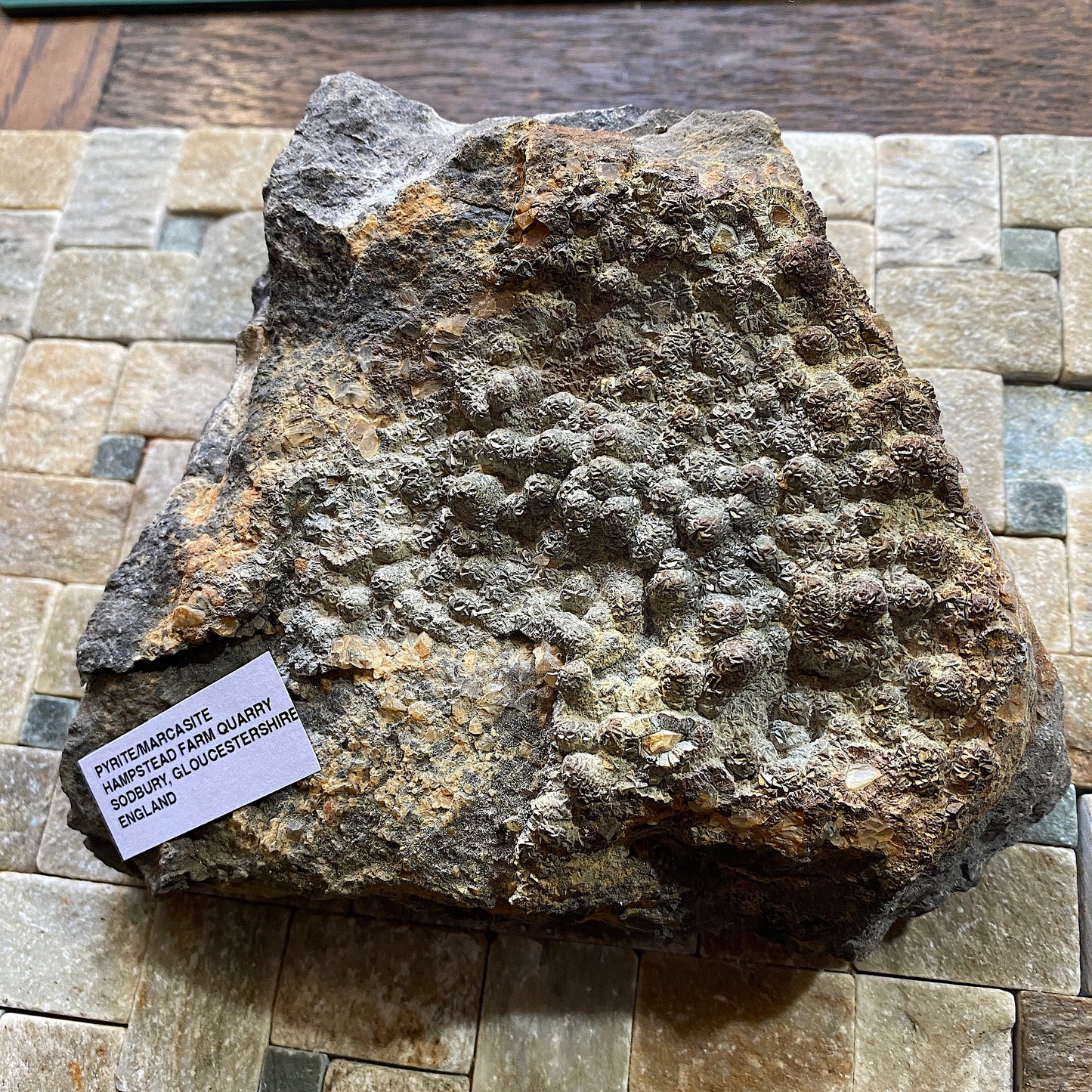 PYRITE [ETC] : HAMPSTEAD FARM QUARRY, SODBURY, GLOUCESTERSHIRE, ENGLAND 1409g MF4703