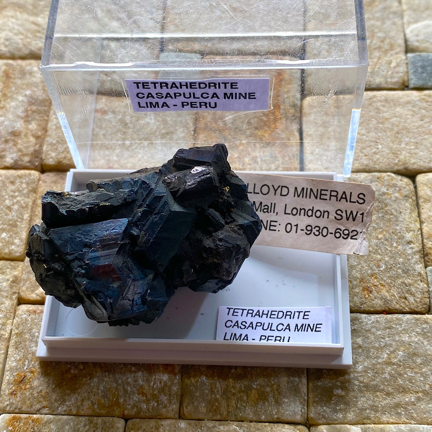 TETRAHEDRITE - CASAPALCA MINE, LIMA, PERU, SOUTH AMERICA 62g MF702