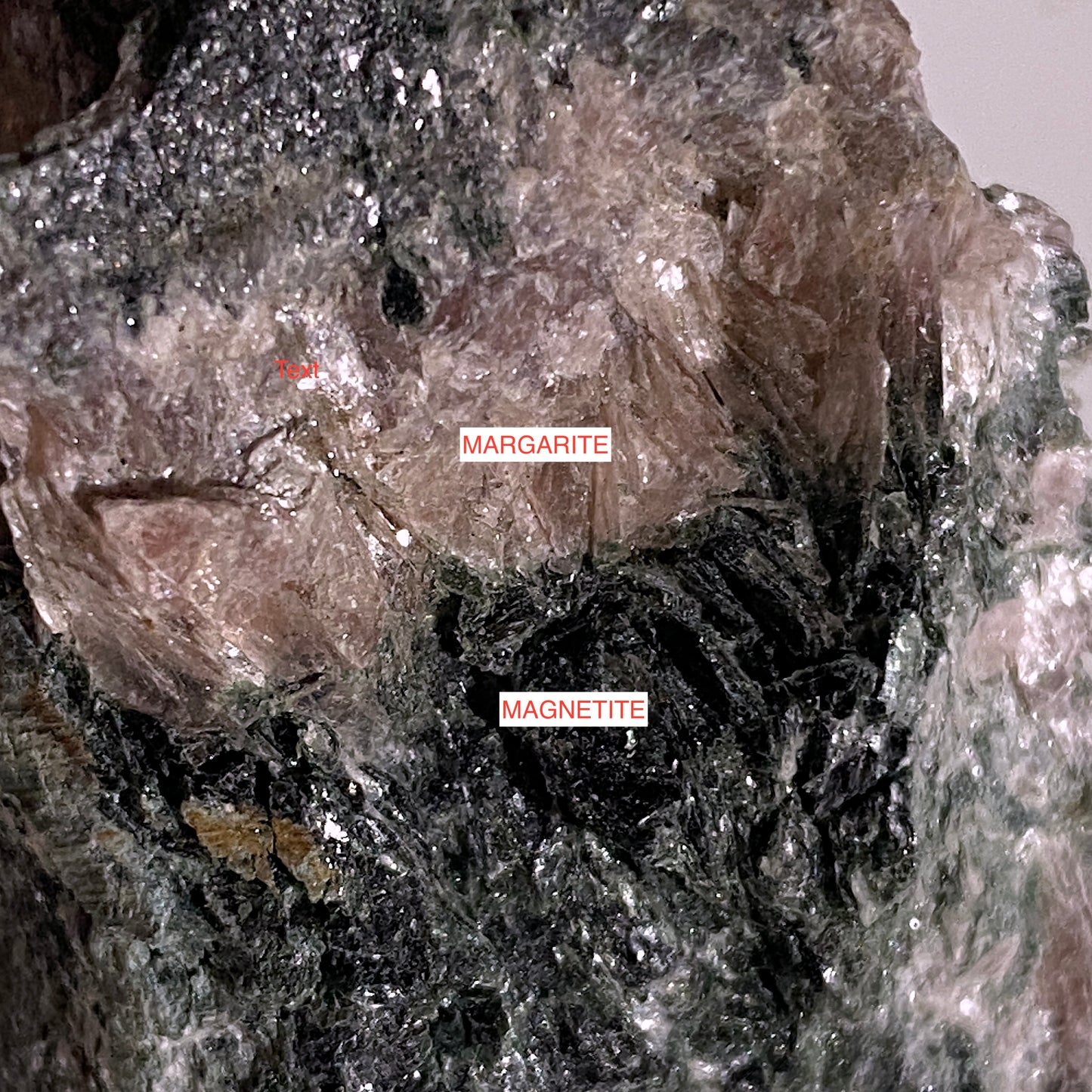 MARGARITE/MAGNETITE : WRIGHT MINE, CHESTER, MASSACHUSETTS, U.S.A. 126g MF4705