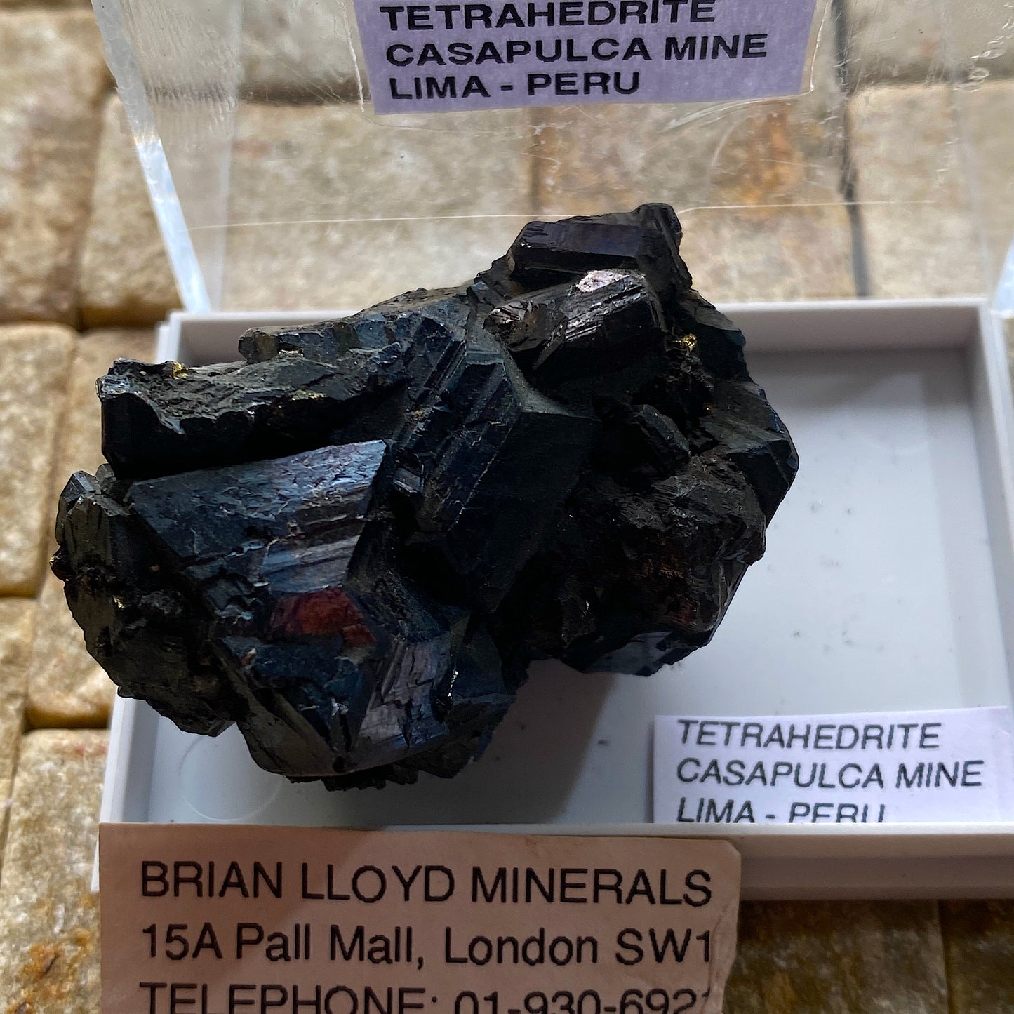 TETRAHEDRITE - CASAPALCA MINE, LIMA, PERU, SOUTH AMERICA 62g MF702