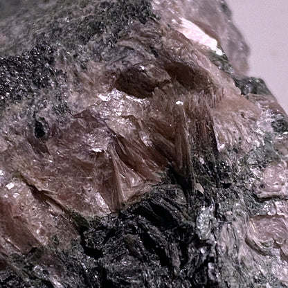 MARGARITE/MAGNETITE : WRIGHT MINE, CHESTER, MASSACHUSETTS, U.S.A. 126g MF4705