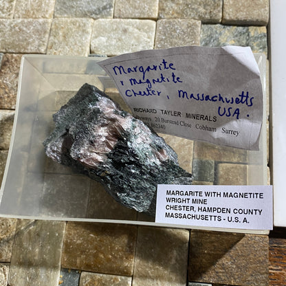 MARGARITE/MAGNETITE : WRIGHT MINE, CHESTER, MASSACHUSETTS, U.S.A. 126g MF4705