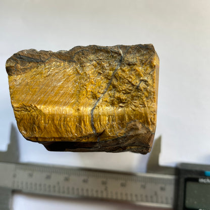 TIGERS EYE [QUARTZ AFTER CROCIDOLITE], PRIESKA, SOUTH AFRICA 231g MF1480