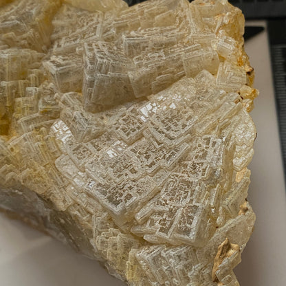 FLUORITE INTERGROWN CRYSTAL HABIT: CRICH QUARRY, DERBYSHIRE 660g MF4707