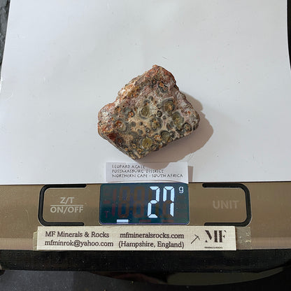 LEOPARD AGATE : POSTMASBURG, NNORTHERN CAPE, SOUTH AFRICA  27g MF5373