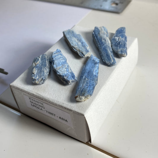 KYANITE x 6 CRYSTAL BLADES - QUSONG, LHOKA, TIBET. TOTAL 22g. MF3505