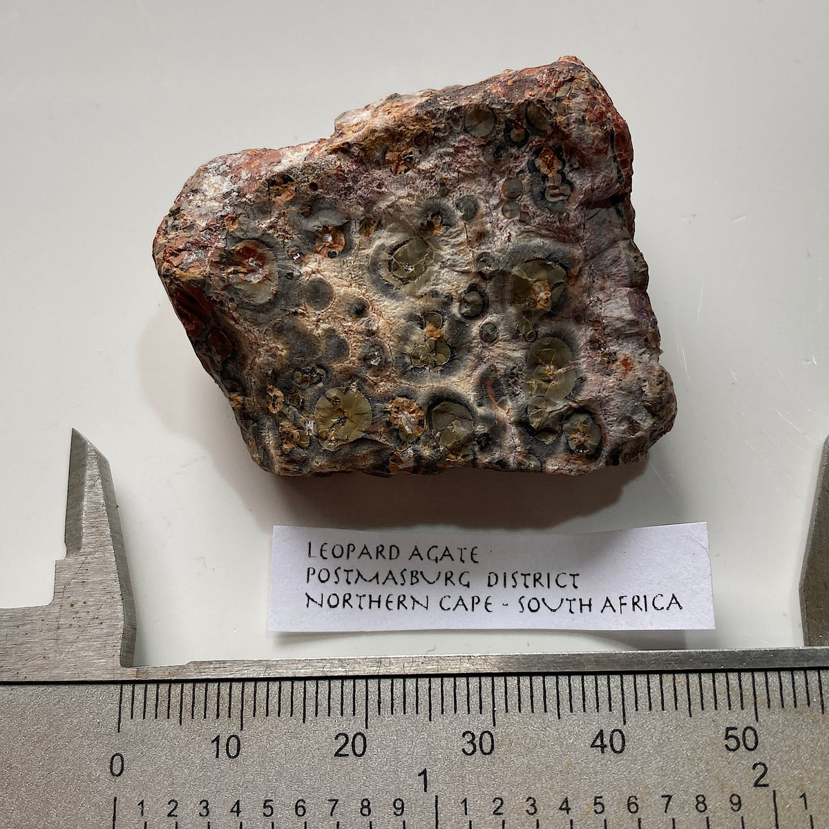 LEOPARD AGATE : POSTMASBURG, NNORTHERN CAPE, SOUTH AFRICA  27g MF5373