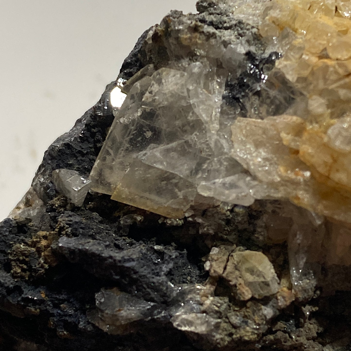 ANGLESITE ON GALENA : MONTEPONI MINE, SARDINIA, ITALY. 179g MF4712