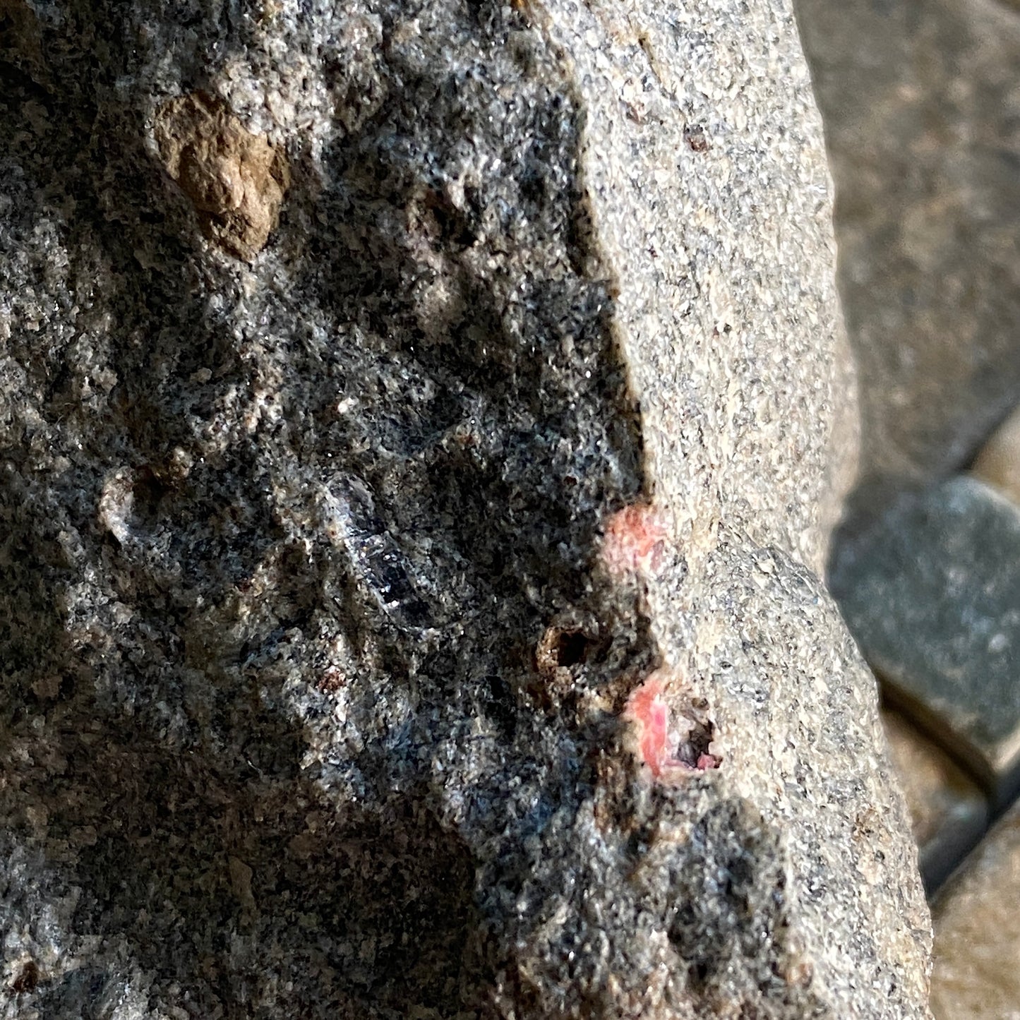 PINAKIOLITE ETC IN SKARN, LANGBAN MINE, SWEDEN 84g MF1483