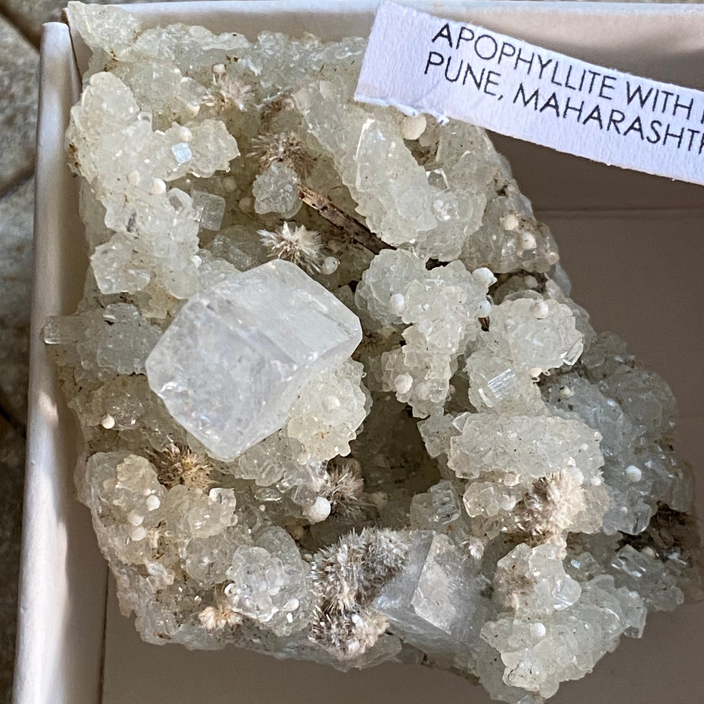 APOPHYLLITE WITH PREHNITE ETC - PUNE, MAHARASHTRA, INDIA 40g MF3159