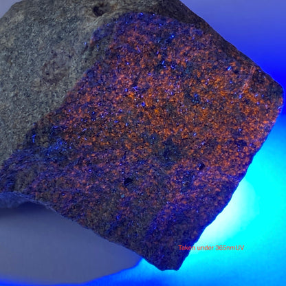 PINAKIOLITE ETC IN SKARN, LANGBAN MINE, SWEDEN 84g MF1483