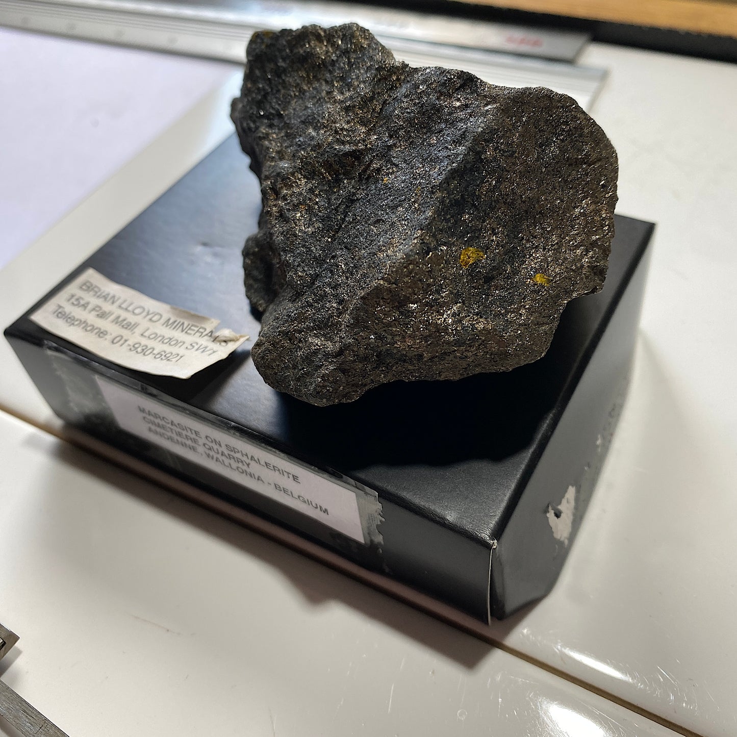 MARCASITE DE LA CARRIERE DU CIMETIERE, WALLONIE, BELGIQUE 382g MF708