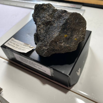 MARCASITE DE LA CARRIERE DU CIMETIERE, WALLONIE, BELGIQUE 382g MF708