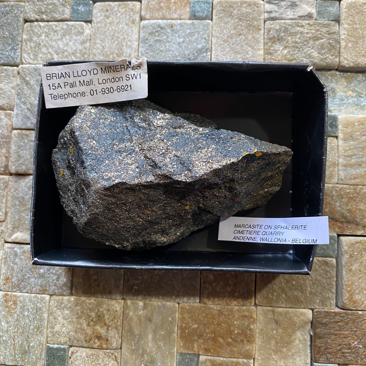 MARCASITE DE LA CARRIERE DU CIMETIERE, WALLONIE, BELGIQUE 382g MF708