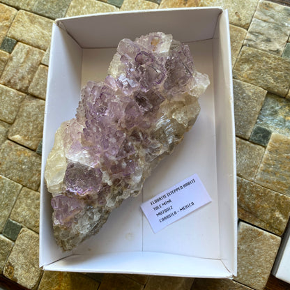 FLUORITE - TULE MINE, MUZQUIZ, COAHUILA, MEXICO. 328g. MF199