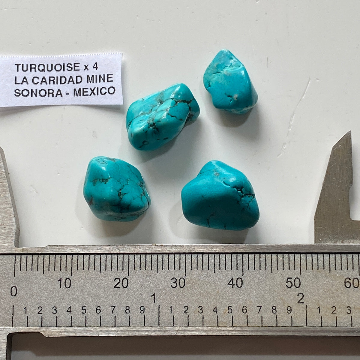 TURQUIOSE x 4 : LA CARIDAD MINE, SONORA, MEXICO  6g. MF5380