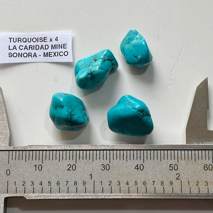 TURQUIOSE x 4 : LA CARIDAD MINE, SONORA, MEXICO  6g. MF5380