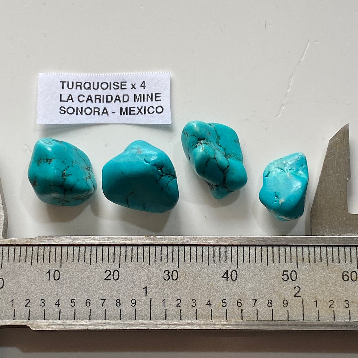 TURQUIOSE x 4 : LA CARIDAD MINE, SONORA, MEXICO  6g. MF5380