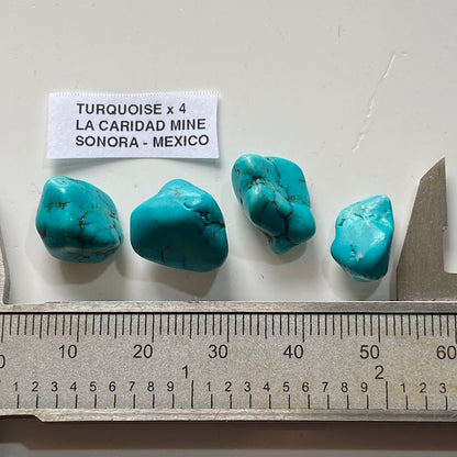 TURQUIOSE x 4 : LA CARIDAD MINE, SONORA, MEXICO  6g. MF5380