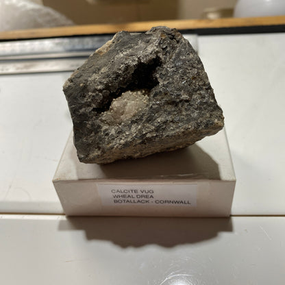 CALCITE VUG IN KILLAS MATRIX : WHEAL DREA, BOTALLACK, CORNWALL. 196g MF5382