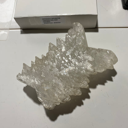 "DOVETAIL" SELENITE : BEAUTIFUL LARGE SPECIMEN - LAGUNA DEL RAY, MEXICO 521g MF4715