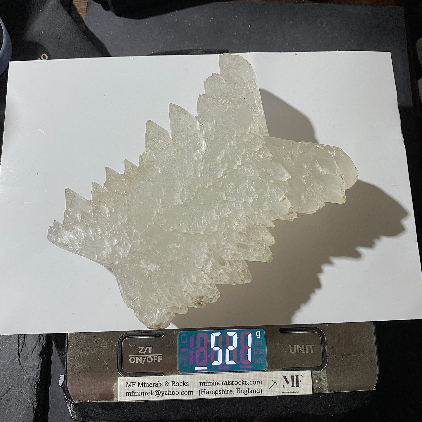 "DOVETAIL" SELENITE : BEAUTIFUL LARGE SPECIMEN - LAGUNA DEL RAY, MEXICO 521g MF4715