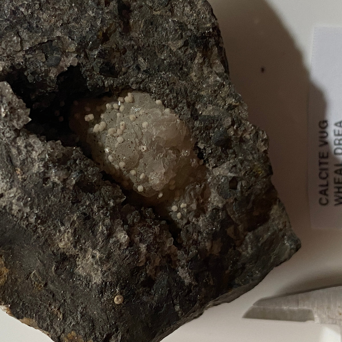 CALCITE VUG IN KILLAS MATRIX : WHEAL DREA, BOTALLACK, CORNWALL. 196g MF5382