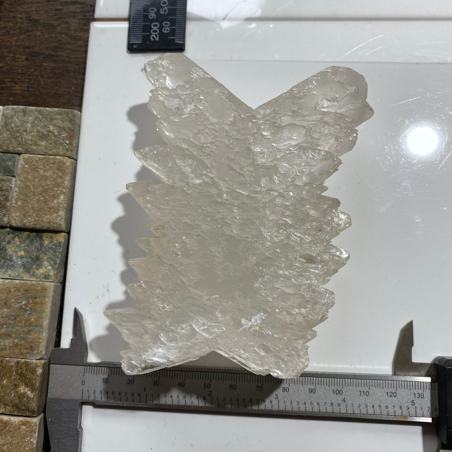 "DOVETAIL" SELENITE : BEAUTIFUL LARGE SPECIMEN - LAGUNA DEL RAY, MEXICO 521g MF4715