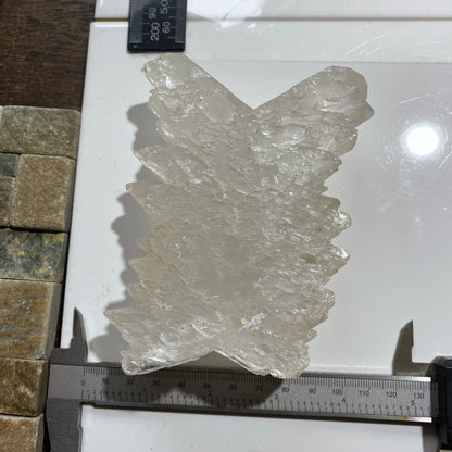 "DOVETAIL" SELENITE : BEAUTIFUL LARGE SPECIMEN - LAGUNA DEL RAY, MEXICO 521g MF4715