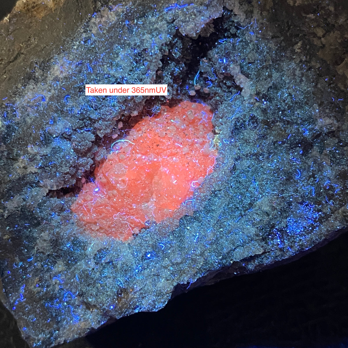 CALCITE VUG IN KILLAS MATRIX : WHEAL DREA, BOTALLACK, CORNWALL. 196g MF5382