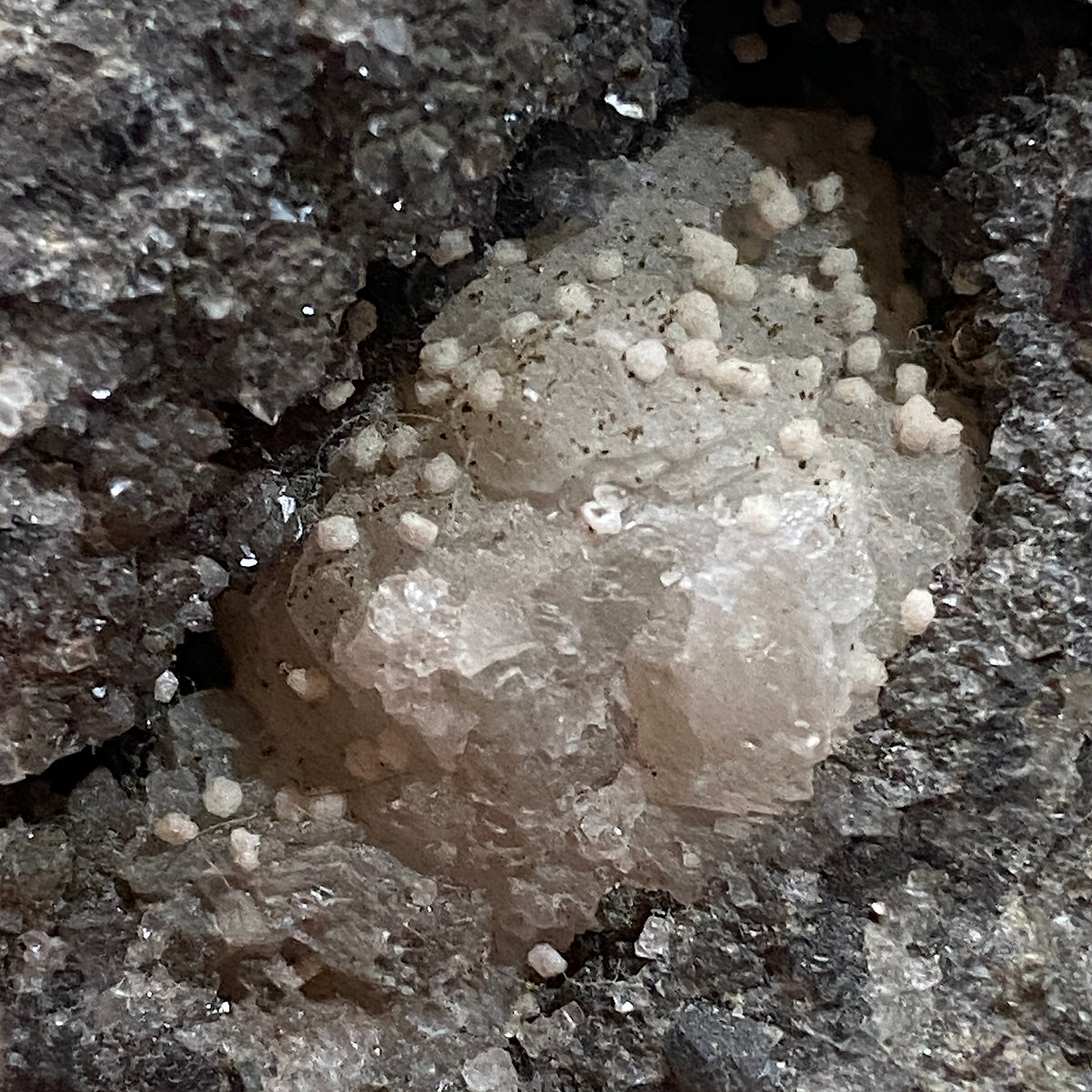 CALCITE VUG IN KILLAS MATRIX : WHEAL DREA, BOTALLACK, CORNWALL. 196g MF5382