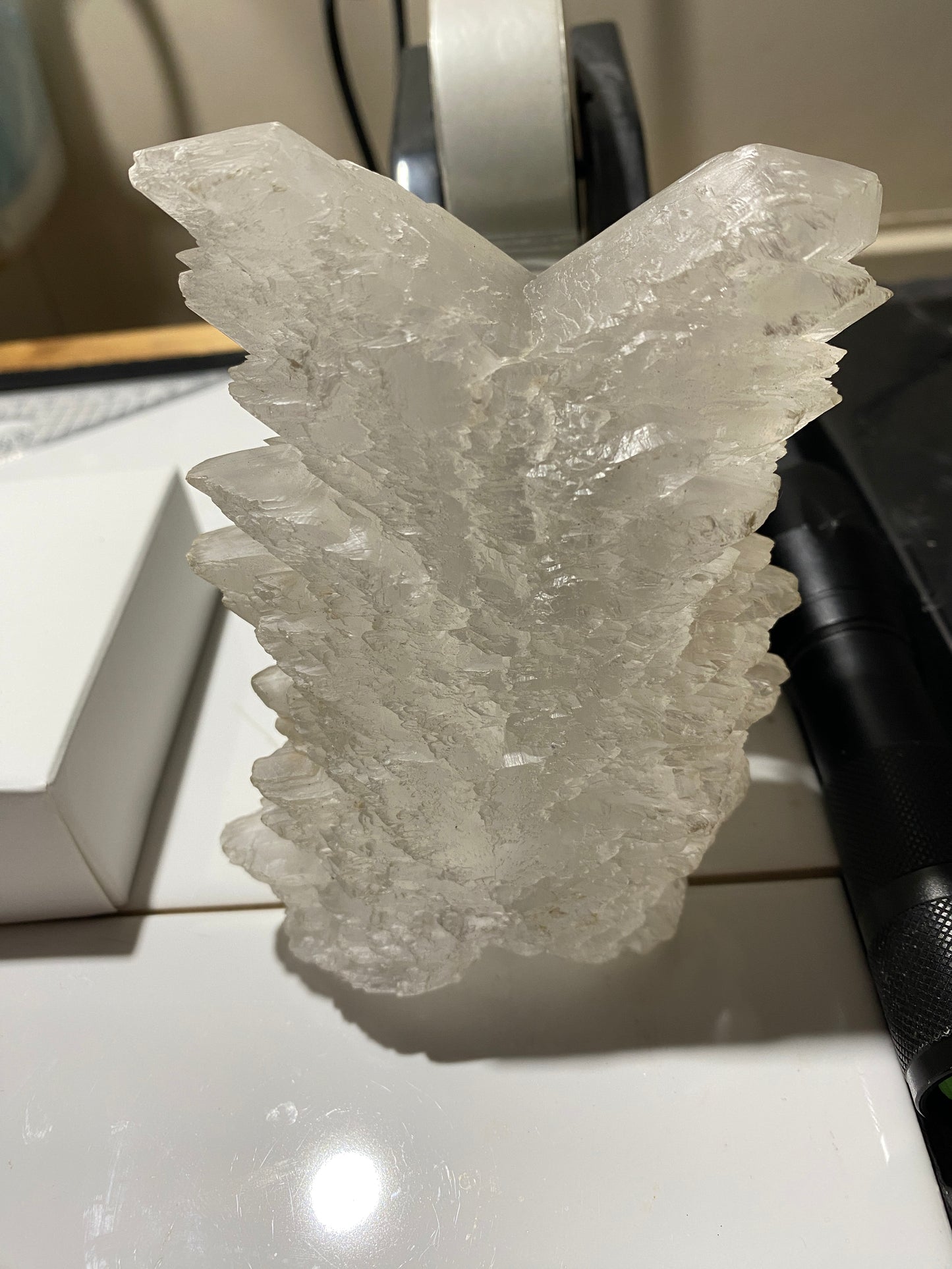 "DOVETAIL" SELENITE : BEAUTIFUL LARGE SPECIMEN - LAGUNA DEL RAY, MEXICO 521g MF4715