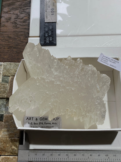 "DOVETAIL" SELENITE : BEAUTIFUL LARGE SPECIMEN - LAGUNA DEL RAY, MEXICO 521g MF4715