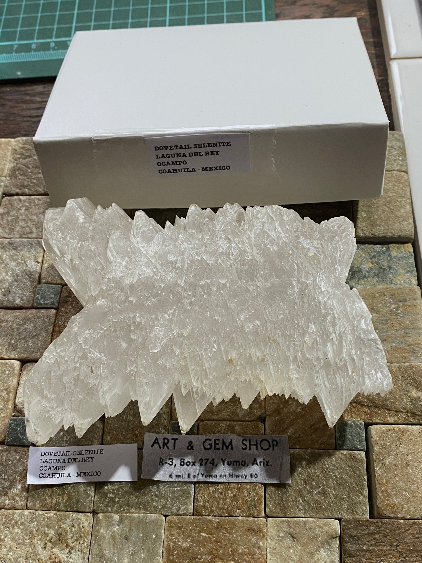 "DOVETAIL" SELENITE : BEAUTIFUL LARGE SPECIMEN - LAGUNA DEL RAY, MEXICO 521g MF4715