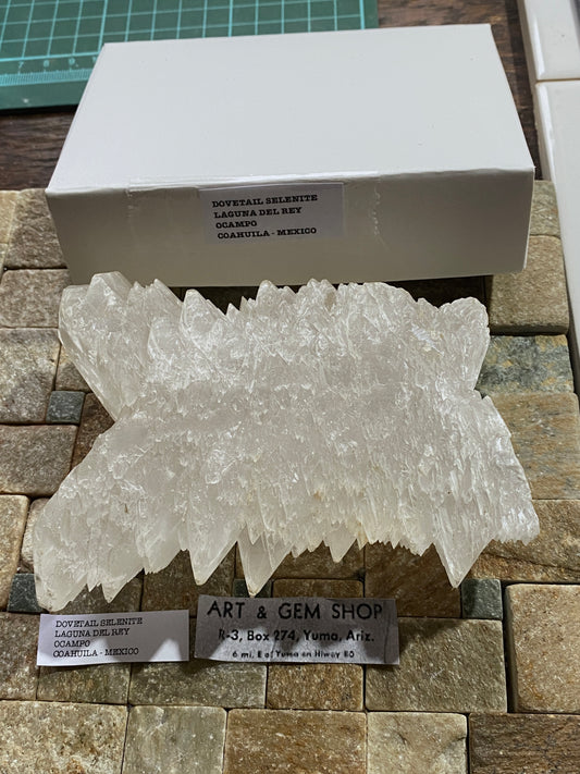 "DOVETAIL" SELENITE : BEAUTIFUL LARGE SPECIMEN - LAGUNA DEL RAY, MEXICO 521g MF4715