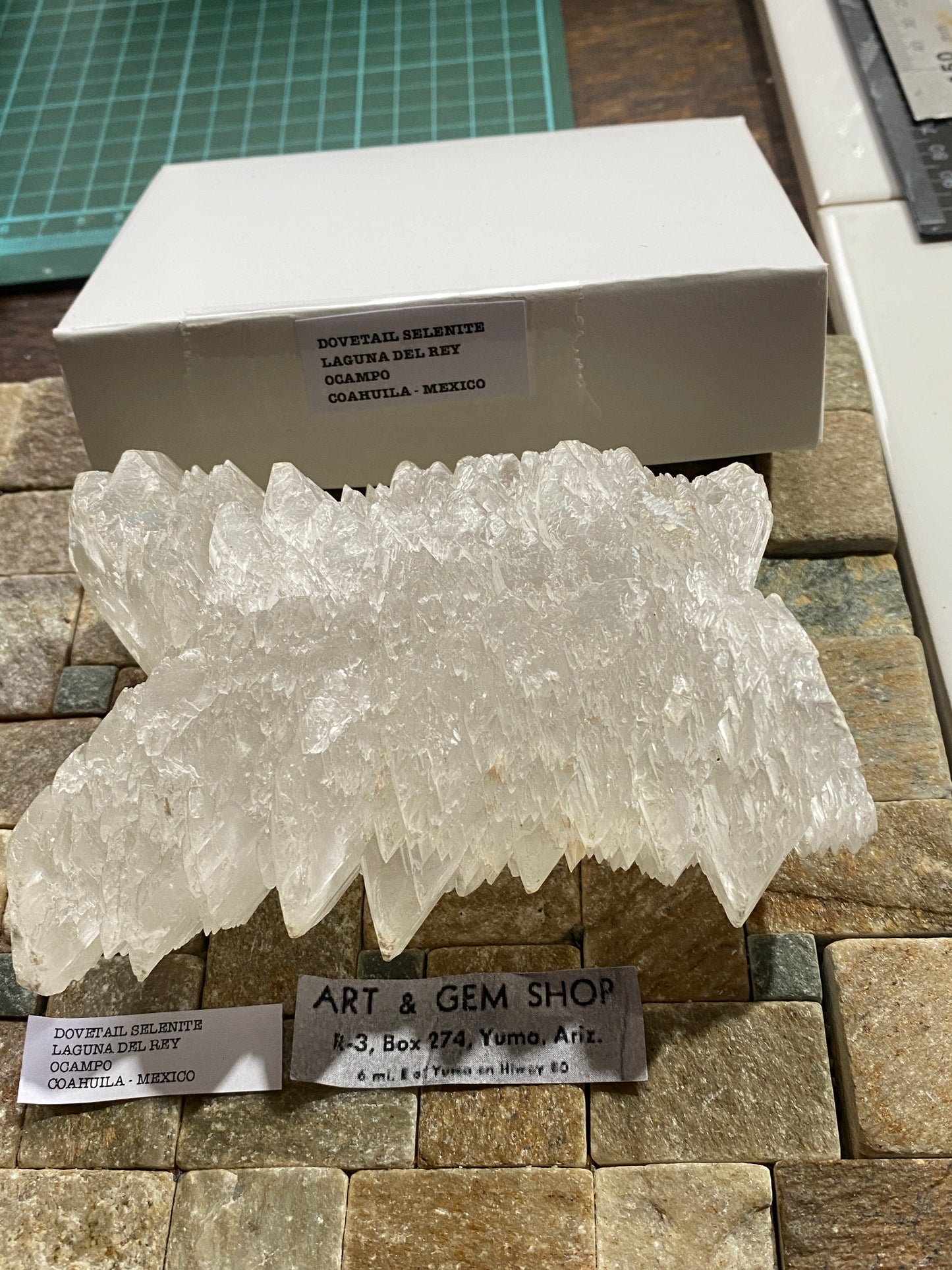 "DOVETAIL" SELENITE : BEAUTIFUL LARGE SPECIMEN - LAGUNA DEL RAY, MEXICO 521g MF4715