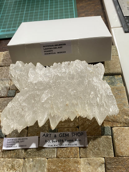 "DOVETAIL" SELENITE : BEAUTIFUL LARGE SPECIMEN - LAGUNA DEL RAY, MEXICO 521g MF4715