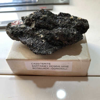 CASSITERITE : BARTINNEY DOWNS MINE, ST JUST, CORNWALL 130g MF5384