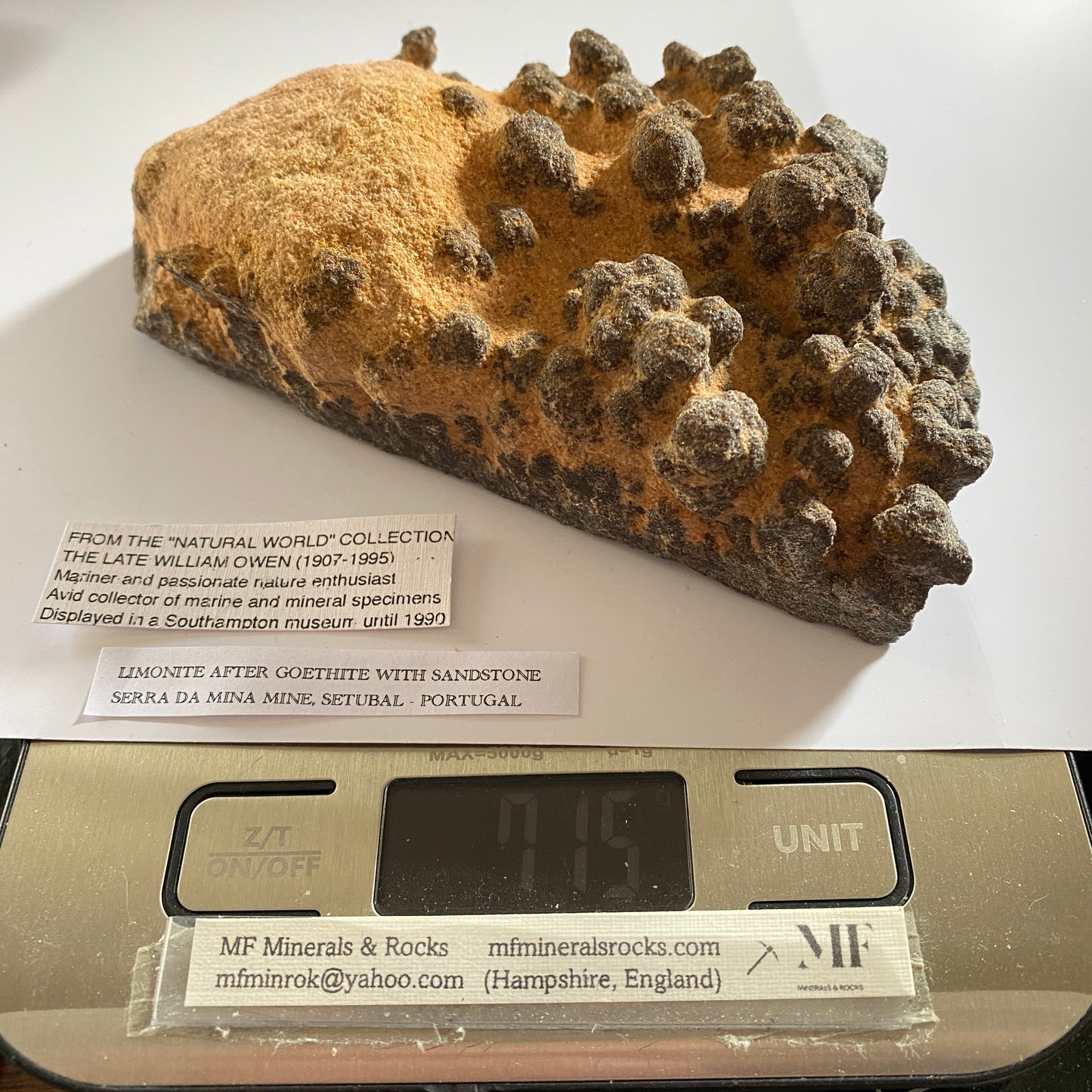 GOETHITE IN SANDSTONE - SERRA DA MINA MINE, SETUBAL, PORTUGAL. 717g MF804